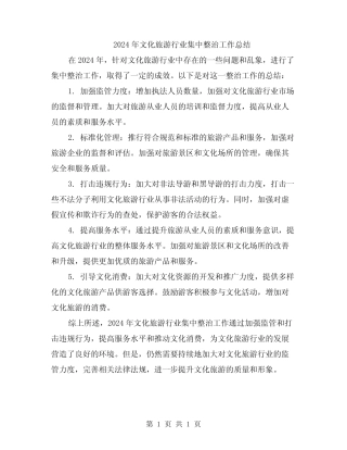 2024年文化旅游行业集中整治工作总结