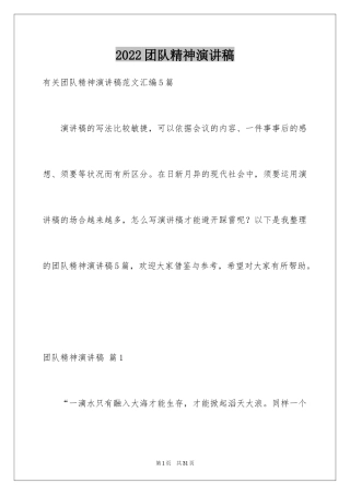 2024团队精神演讲稿_313