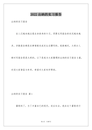 2024出纳的实习报告_17