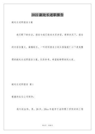 2024副处长述职报告