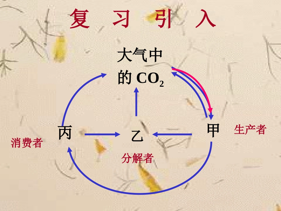 生态系统的能量流动_第1页