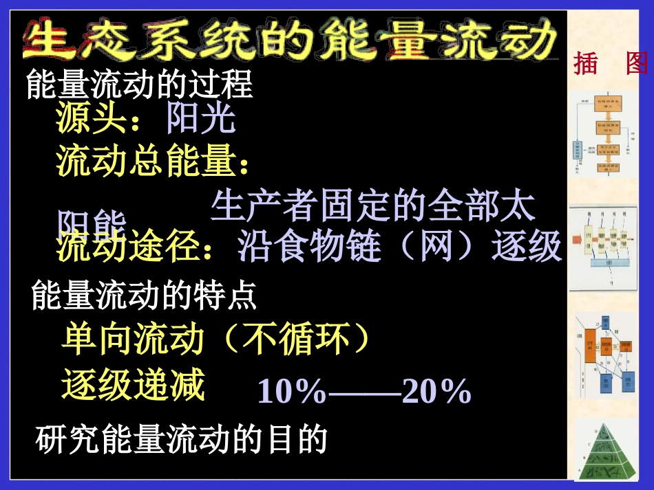 生态系统的能量流动_第2页