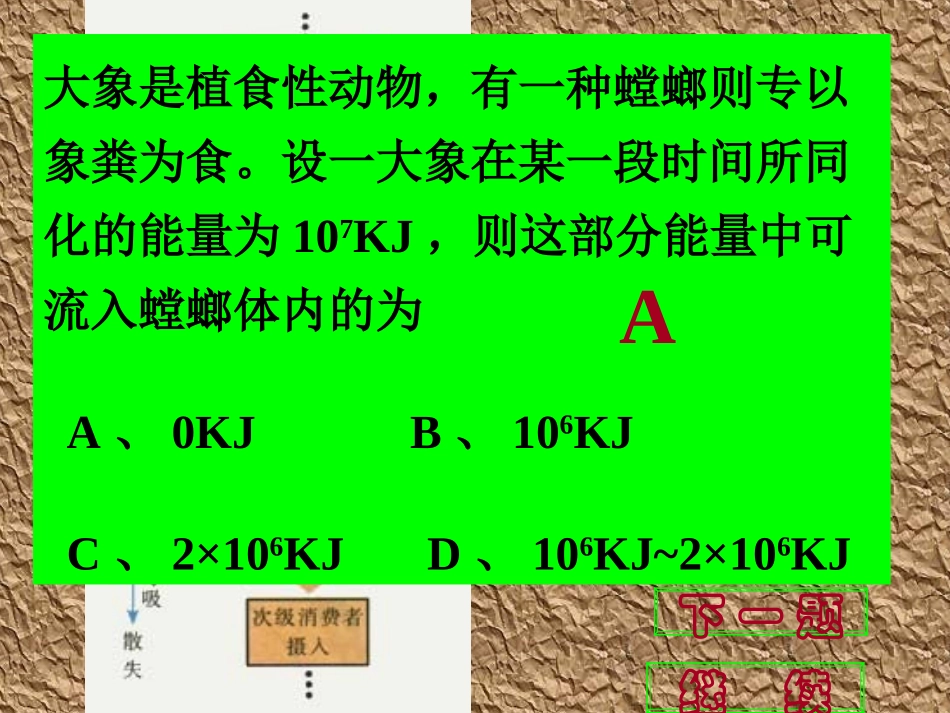 生态系统的能量流动_第3页