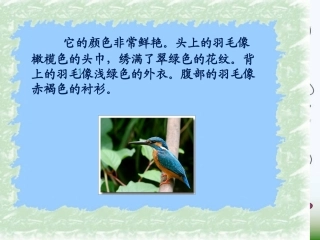 《猫》公开课