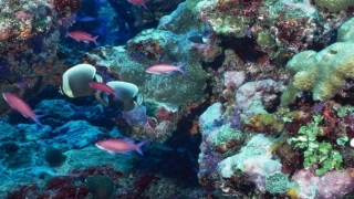 各种各样的岩石课件