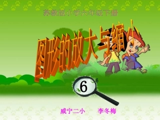 图形的放大和缩小