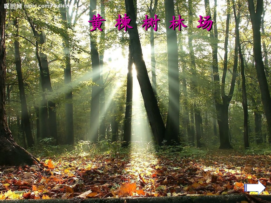 光的直线传播_第3页