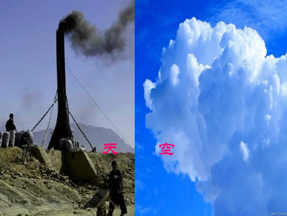 只有一个地球课件_第2页