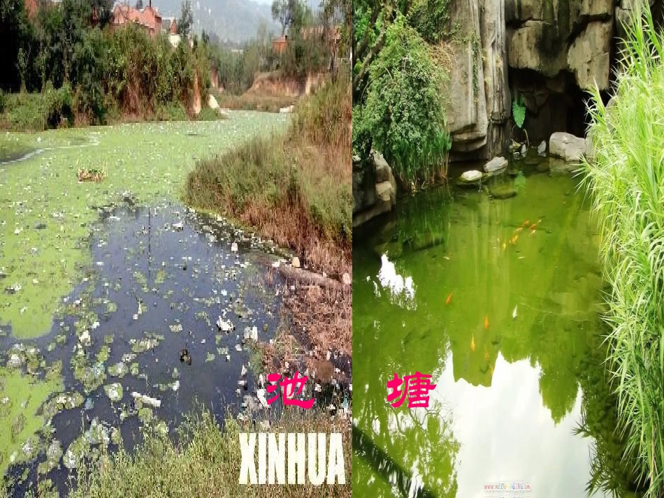 只有一个地球课件_第3页