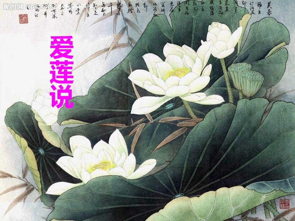 《爱莲说》课件_第1页