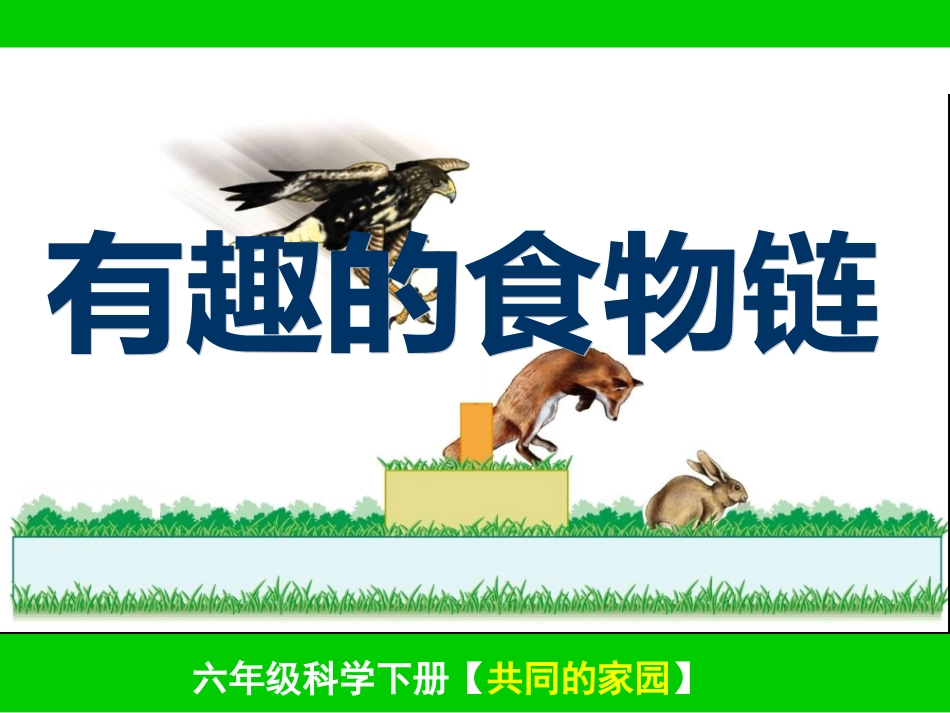有趣的食物链_第1页