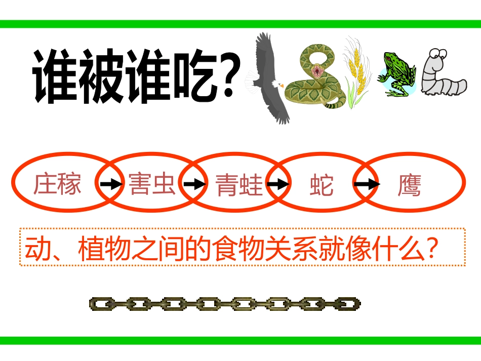 有趣的食物链_第3页