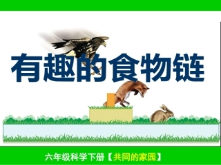 有趣的食物链