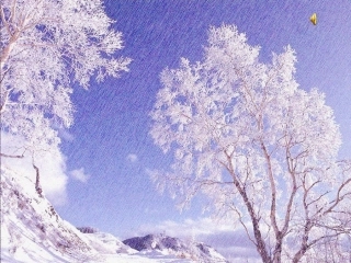 雪花带来冬天的梦