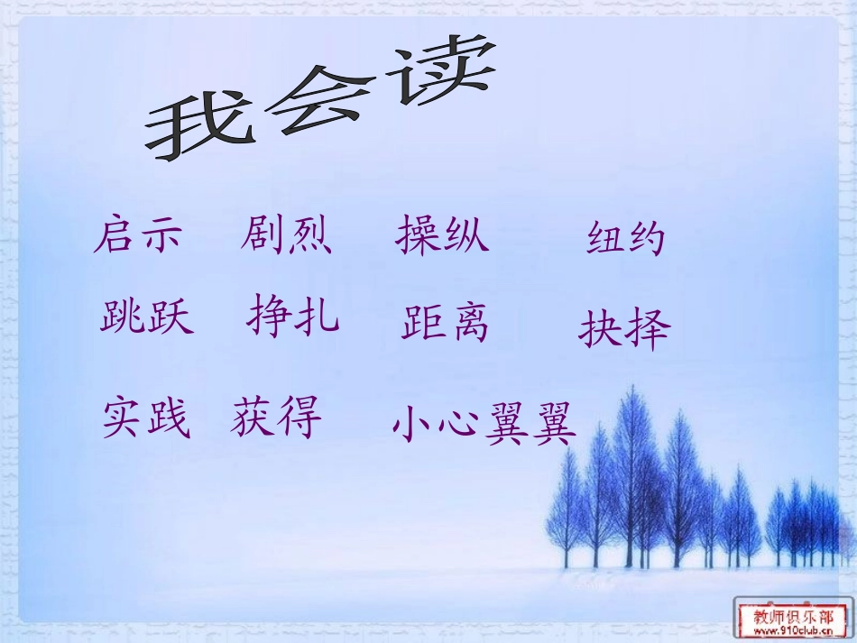 《钓鱼的启示》课件_第2页