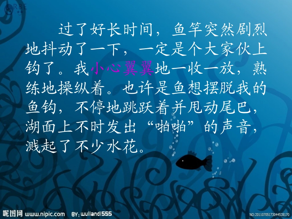 《钓鱼的启示》课件_第3页