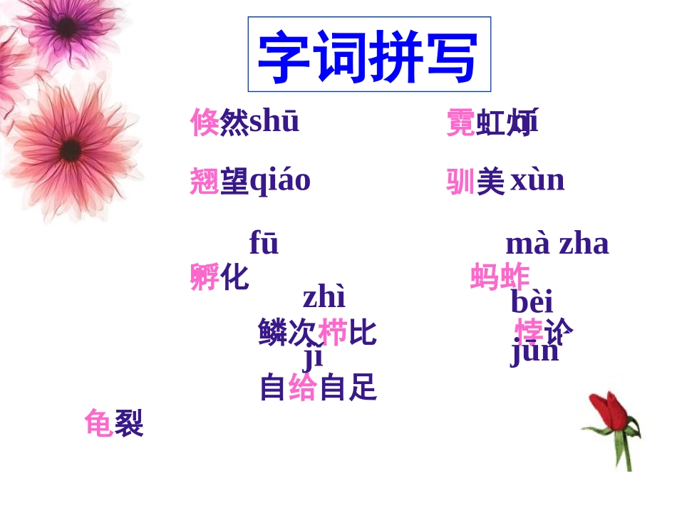 明天不封阳台_第2页