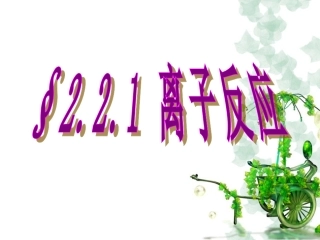 离子反应第一课时