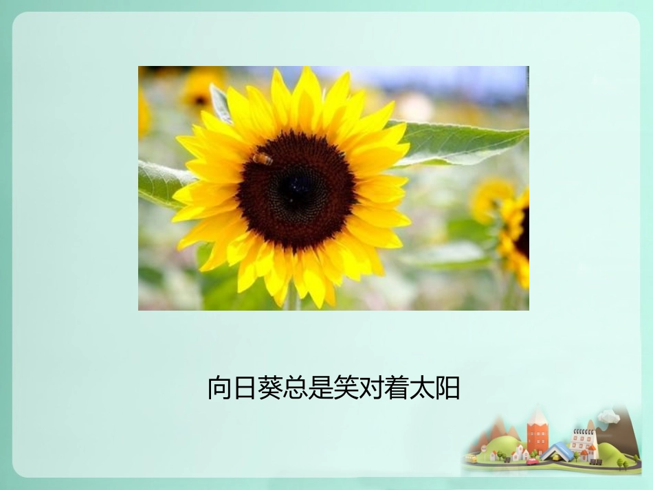 夏天有趣的事_第2页