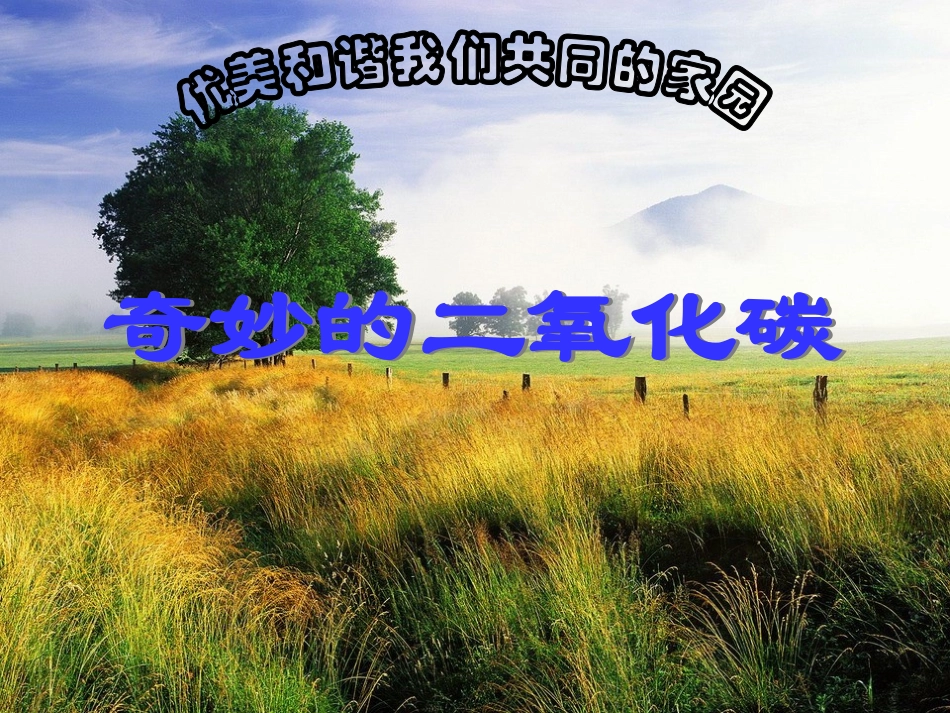 二氧化碳的性质_第2页