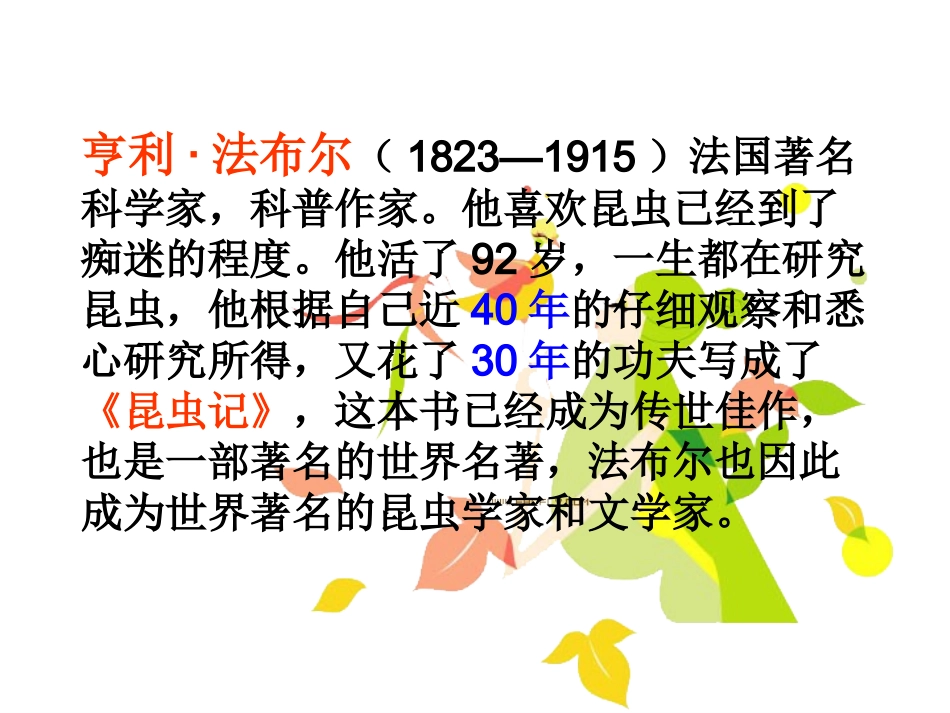 装满昆虫的衣袋课件_第3页