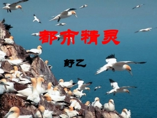 《都市精灵》