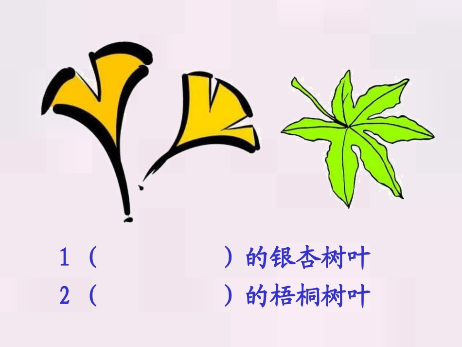 人教版小学语文二年级上册《蓝色的树叶》PPT课件_第2页