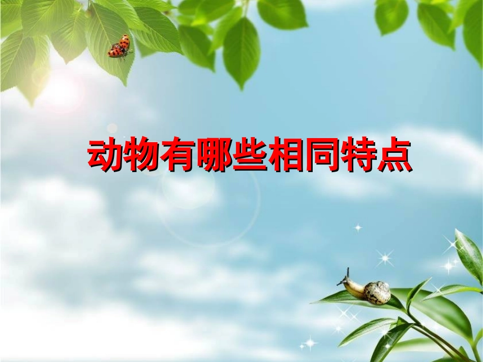 动、植物有相同特点的比较_第1页