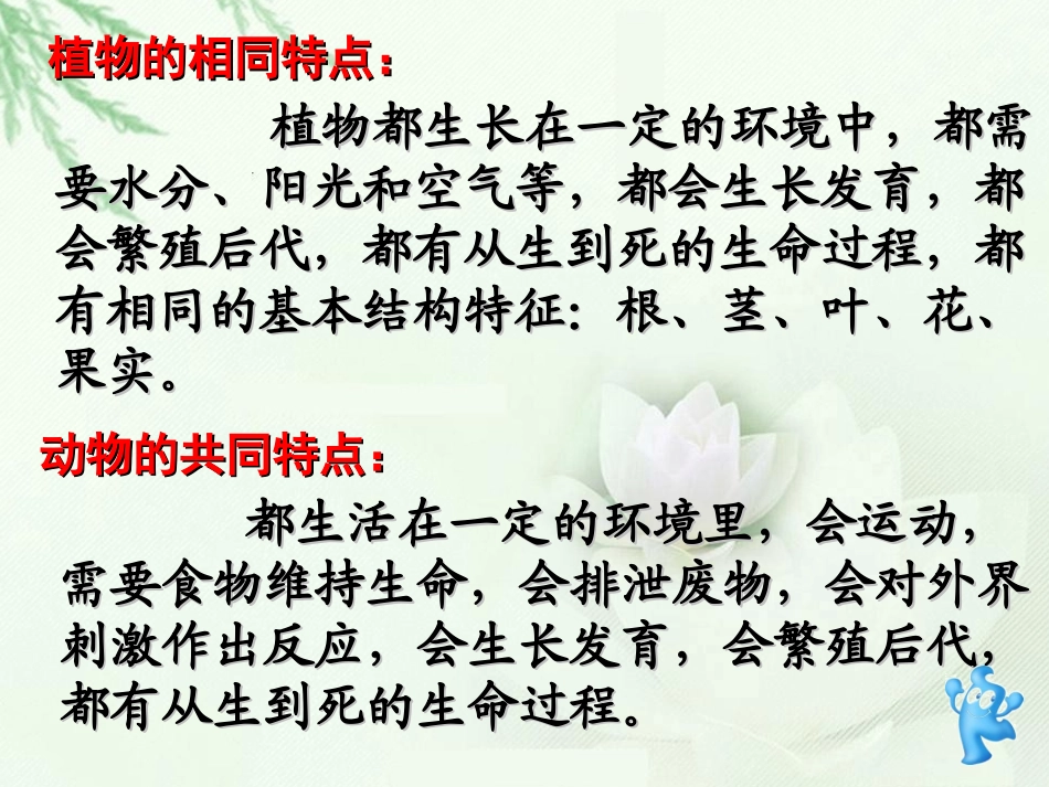动、植物有相同特点的比较_第3页