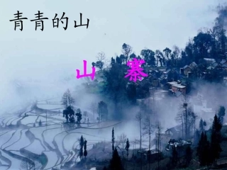 《山寨》课件