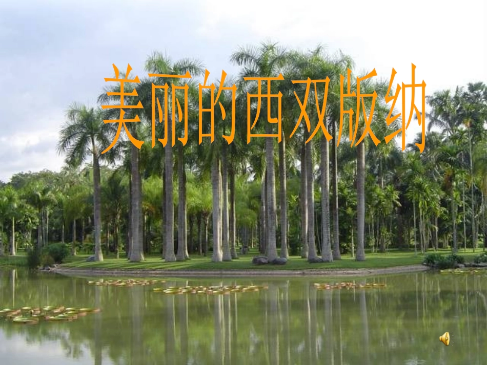 美丽的西双版纳_第1页