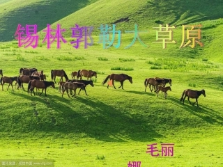 锡林郭勒大草原