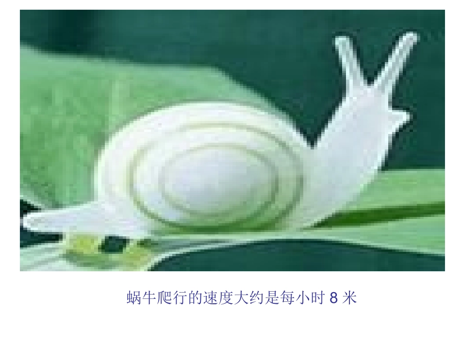 路程时间速度_第3页