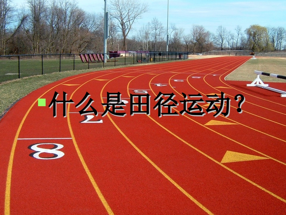 田径运动概述_第2页