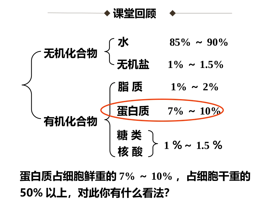 22生命活动的主要承担者——蛋白质_第2页