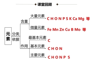 22生命活动的主要承担者——蛋白质