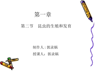 2、昆虫的生殖和发育