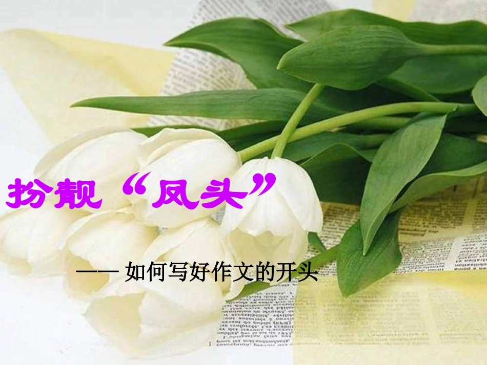 2013届中考语文：怎样写好作文的开头课件_第1页