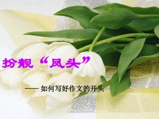 2013届中考语文：怎样写好作文的开头课件