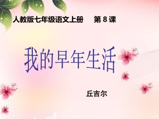 第8课我的早年生活 (2)