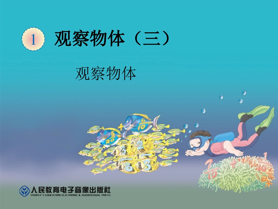 观察物体2教学_第1页