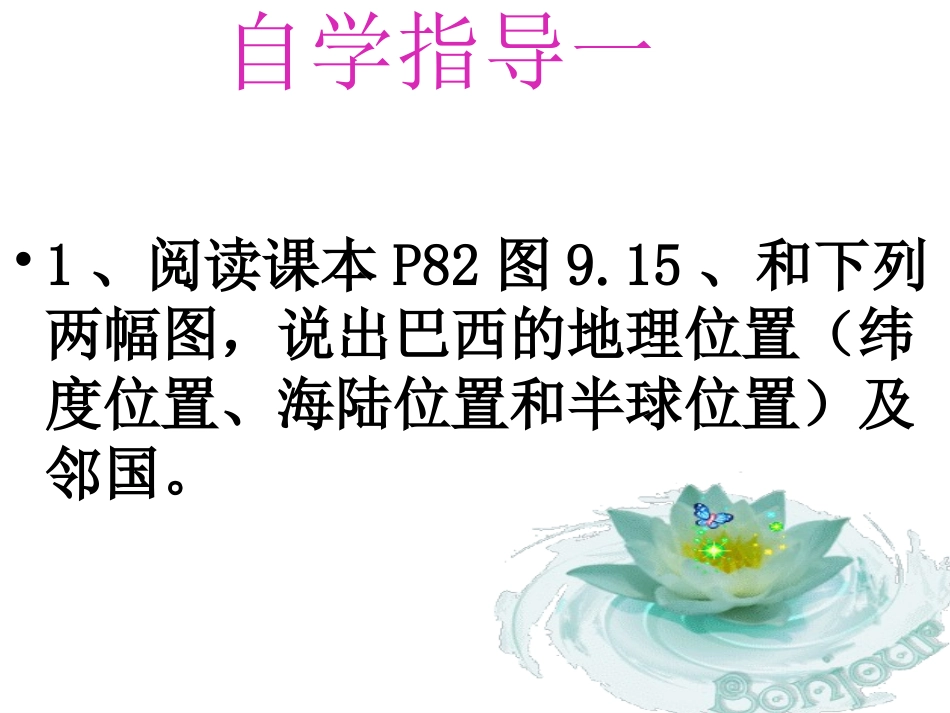 巴西第一课时_第3页