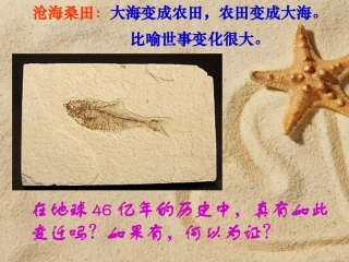 化石吟张晓玲