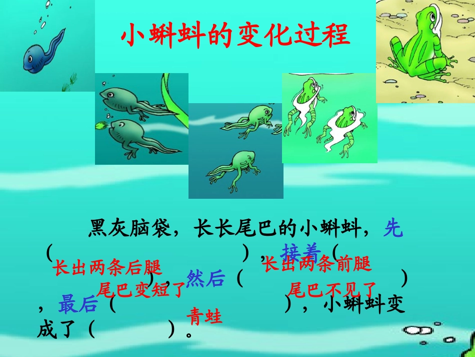 34完成《小蝌蚪找妈妈》_第3页