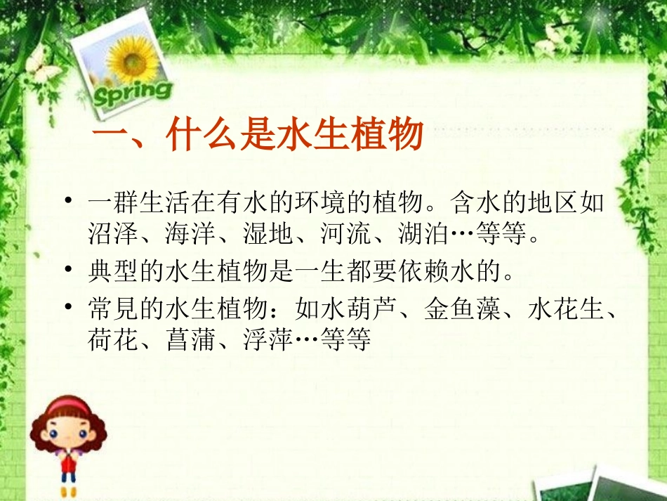水生植物的课件_第3页