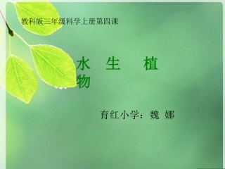 水生植物的课件