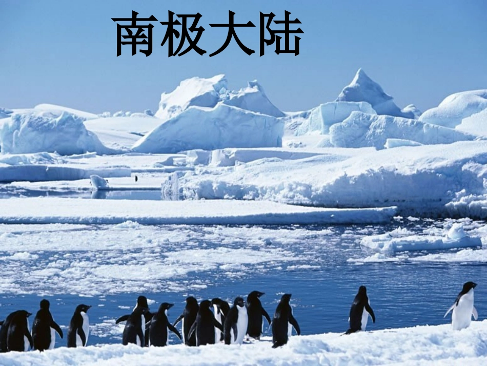 登上企鹅岛课件_第2页