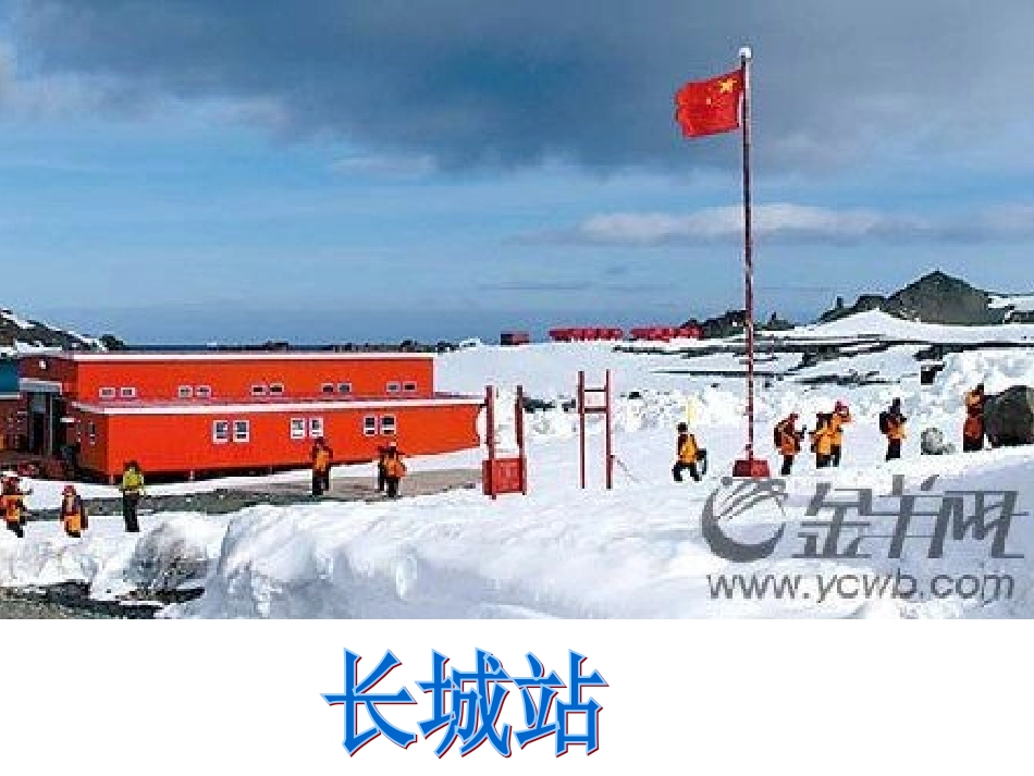 登上企鹅岛课件_第3页