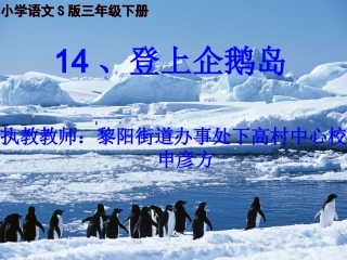登上企鹅岛课件