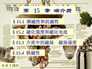 第15章磁介质